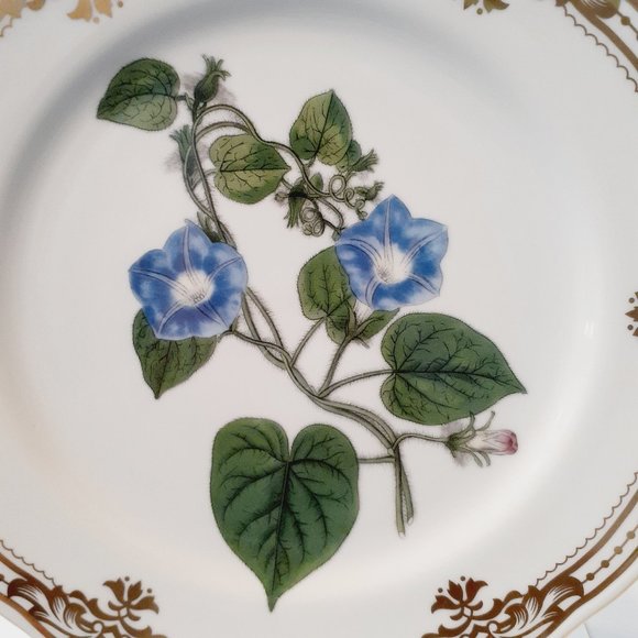 Andrea by Sadek, Golden Botanical by Robert Sweet 1824 London Plate 10 1/2"- - Picture 2 of 8